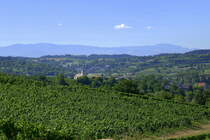 Blick auf den Weinort Tutschfelden, eingebettet in die Vorbergzone des Schwarzwaldes, Aug.2022
