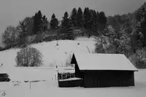 Eine einsame Scheune irgendwo im Allgäu bei Nesselwang. (November 2023)