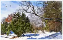 Mitte März 2013. Rundgang bei Sudermühlen in der Lüneburger Heide