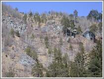 Wegen fehlender Niederschl�ge in Form von Schnee und Regen sind die H�nge Richtung Trin sehr trocken. (04.03.2007)