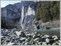 Die Hundenaseperspektive ist mit der drehbaren Nikon Coolpix auch m�glich ohne sich auf den Bauch zu legen. (04.03.2007)