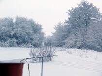 Einen letzten Gru� vom Winter den wir nicht hatten