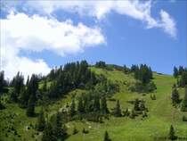 Kurz vor dem dem Gipfel des Rauschberges, k�nnte auch eine Modellbahnlandschaft sein.