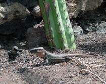 Findest Du nicht auch, da� es heute mal wieder viel zu hei� ist?