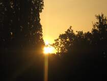 An der U5 Richtung H�now bot sich hier kurz hinter Tierpark Berlin dieser wundersch�ne Anblick, 30.5.2008