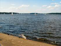 Am Gro�en Wannsee, Juni 2008