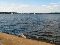 Am Gro�en Wannsee, Juni 2008