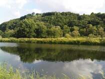 An der Ruhr bei Bochum-Stiepel am 11.06.08