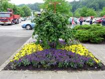Blumenschmuck in Ettelbr�ck am 07.06.08.
