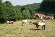 In der R�digsdorfer Schweiz.