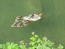 Familienausflug!
(Juni 2007)