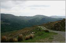Bergweiden bei Glengariff, Irland Co. Cork.