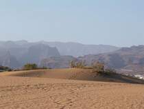 Blick �ber die D�nen von Maspalomas in Richtung Landesinnere von Gran Canaria. Das Foto stammt vom 09.06.2008