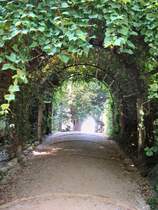 Auf der Pfaueninsel
BERLIN 2007