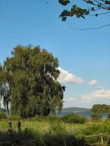 Auf der Pfaueninsel
BERLIN 2007