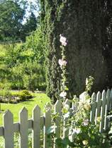 Auf der Pfaueninsel
BERLIN 2007