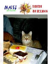 Mausi und die Kuchenstcke
2004
