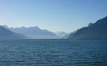 Harmonie in Blau
(13.08.2008)