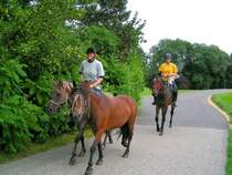 Ausritt mit  Pferd�berstellung ; 080813