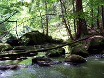Bild vom H�llbach bei Falkenstein
