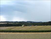 Das drohende Gewitter am 17.08.08 l�sst Hektik bei der Ernte in Heiderscheid ausbrechen. (Jeanny)