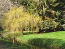 Um die Ruine herum l�dt ein sch�ner Park zum Spazieren ein.