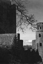 Schwarzwei� und mit Rauscheffekt sieht die Ruine mystischer aus, als sie an einem sonnigen Fr�hlingstag war.