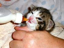 Damit ich gro� und stark werde, Sommer 2007