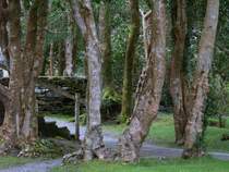 Auf der Halbinsel mit der kleinen Kapelle