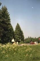 Hazw�lder bei DreiAnnenHohne, dig. Dia von 1992