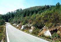MONCHIQUE, 28.01.2003, auf dem Picota, dem mit 744 m zweithöchsten Berg der Serra de Monchique -- Foto eingescannt