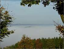 Landschaft im Nebel aufgenommen in der N�he von Wiltz am 19.10.08 gegen 10 Uhr morgens. (Jeanny)
