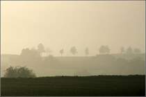 Morgennebel im Remstal. 

11.10.2008 (M)