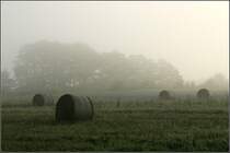 Morgennebel im Remstal. 

11.10.2008 (M)