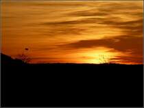 Zwei Hei�luftballons fahren in den Sonnenuntergang hinein. 19.10.08 (Jeanny) 