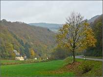 Herbstliche Landschaft mit einzelnem Baum am Stra�enrand fotografiert am 26.10.08 in der N�he von Michelau. (Jeanny)