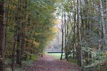 Auch diese Foto entstand in der N�he des �mminger Sees.Bochum ist eine Stadt mit sehr gro�em Baumbestand.