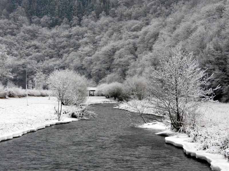 Whrend der tagelang anhaltenden Minustemperaturen haben sich an den Ufern der Clerve dicke Eisschichten gebildet. Kautenbach (Luxemburg)
25.12.07