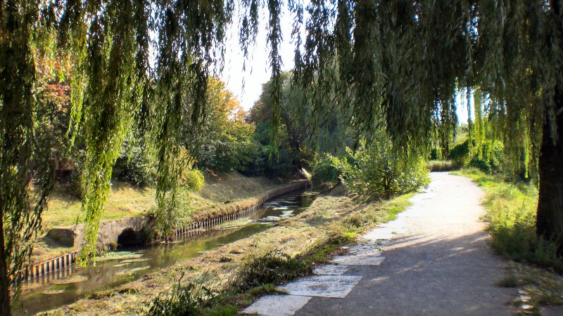 Wanderwege an der Panke - grnes Berlin imHerbst 2007