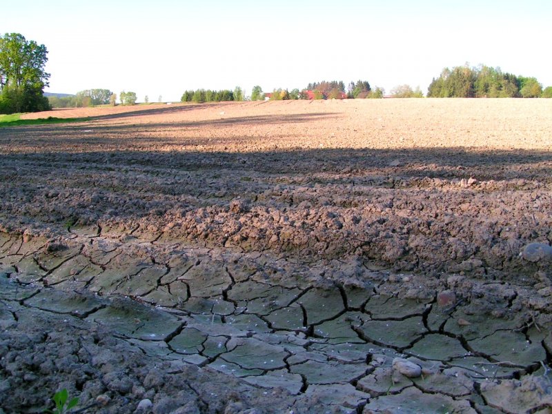 Wann kommt der Regen? ausgetrocknetes Feld; 080511