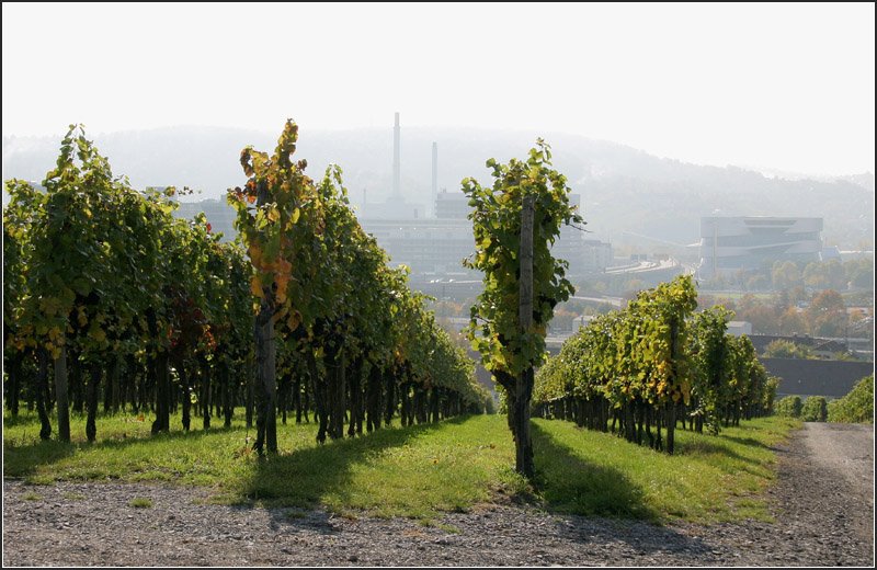 Weinberg und Industrie -

Blick von den Weinbergen auf das stark industrialisierte Stuttgarter Neckartal mit dem Kraftwerk Gaisburg (Bildmitte) und dem Mercedes-Benz-Museum (rechts). 

11.10.2008 (M)