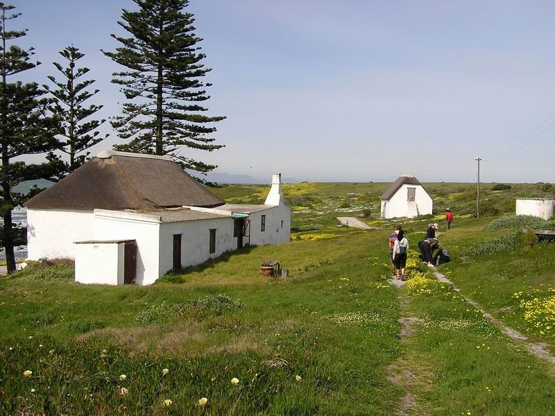 West Kste bei Kapstadt. Im Hintergrund der Tafelberg, ca. 60 km entfernt.
