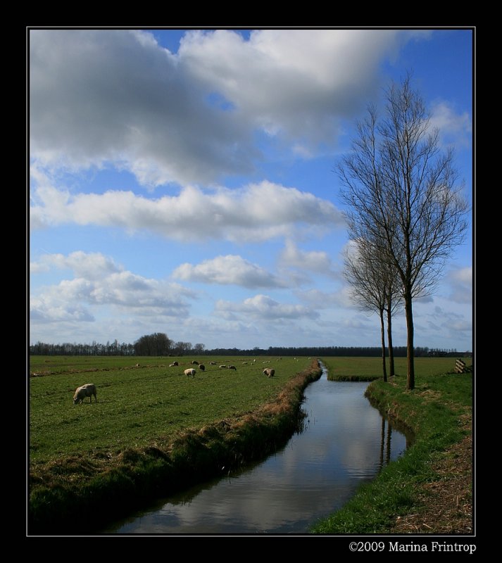 Wiesen bei Langerak (Liesveld), Alblasserwaard - Sdholland