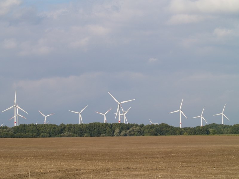 Windrder bei Premslin; August 2008