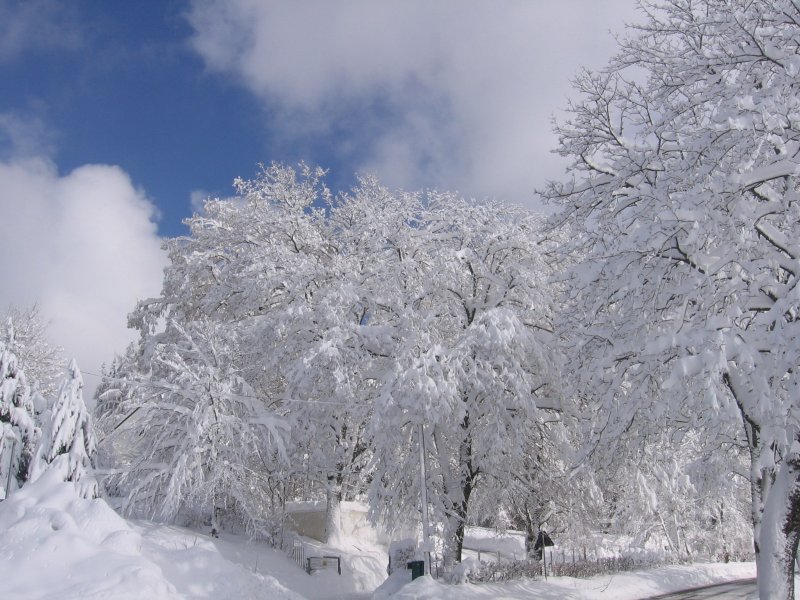 Winter 2006 im Schwarzwald in St.Georgen