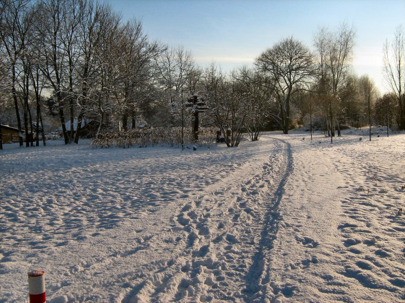 Winter im ehemaiigen Grenzstreifen zwischen Spandau und Falkensee, januar 2009