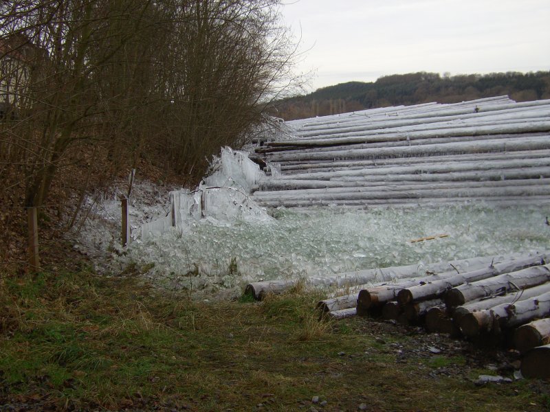 Winter mit Eisbildung im Nassholzlager fr Holz nach dem Orkan Kyrill. Aufgenommen im Dezember 2007 am Mhnesee zwischen Arnsberg und Soest. 