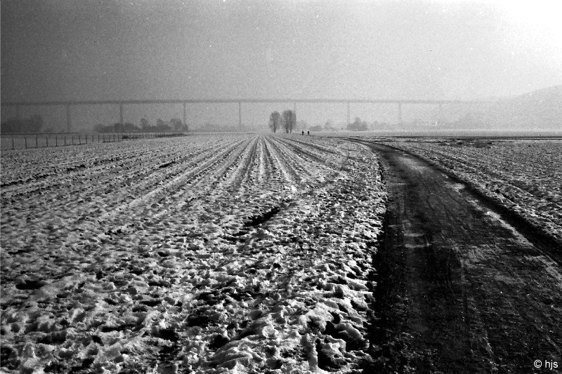 Winter im Ruhrtal südlich von Mülheim (Februar 1999). Im Hintergrund überspannt die Brücke der A 52 das Tal.