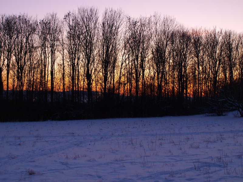 Winterlicher Sonnenuntergang bei 10 Grad minus hinter dem Aachener Klinikum.