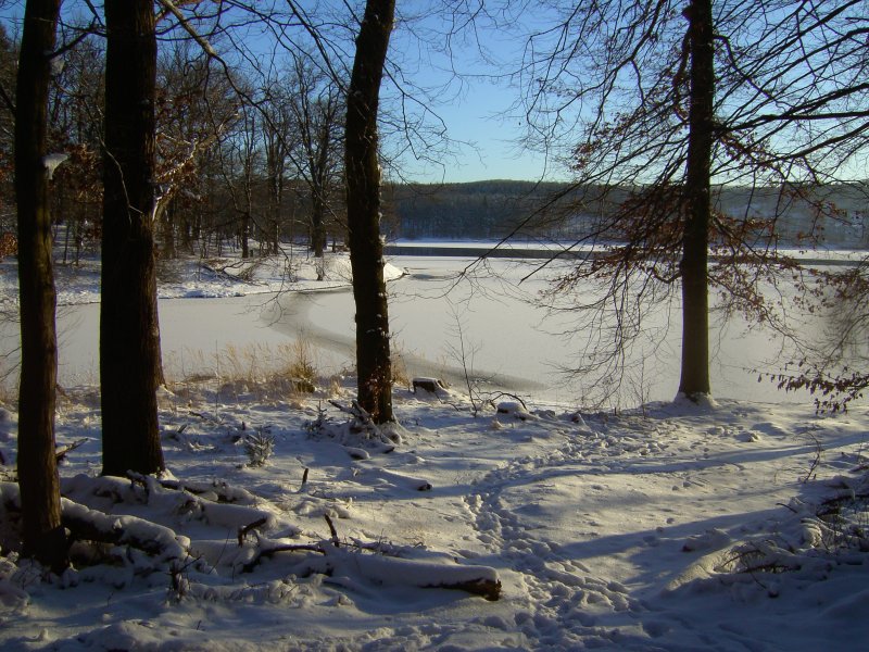 Winterstimmung am Mhnesee (Aufnahme: 08.01.2009)